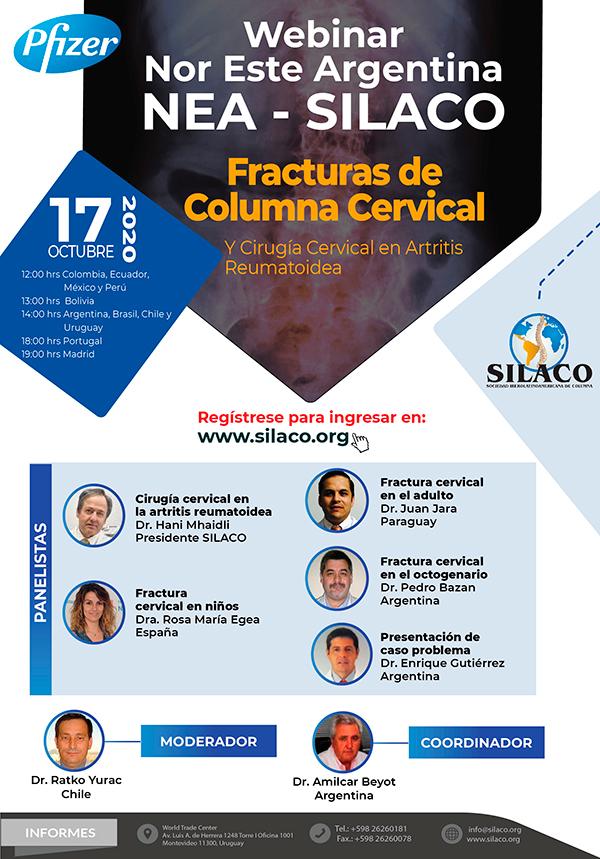 Webinar Nor Este Argentina NEA Silaco-min